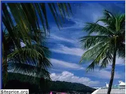 Sites similar to tampacruiseshipshuttle.com