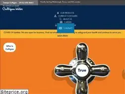 Sites similar to tampaculligan.com