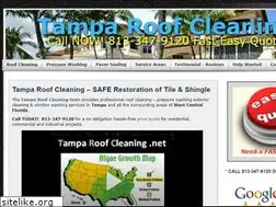 Sites similar to tamparoofcleaning.net