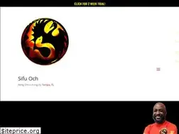 Sites similar to tampawingchunkungfu.com