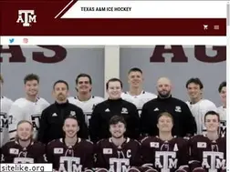 Sites similar to tamuicehockey.com