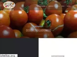 Sites similar to tamuson.com