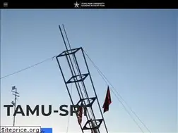 Sites similar to tamusrt.org