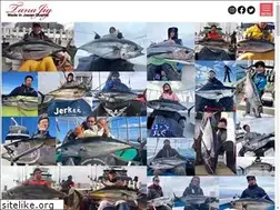 Sites similar to tanajig.co.jp