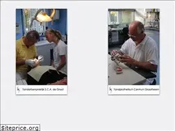 Sites similar to tandheelkunde.eu