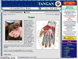 Sites similar to tangan.org