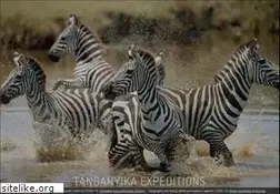 Sites similar to tanganyika.com