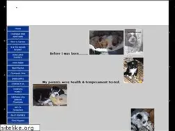 Sites similar to tanglewoodsaussies.com