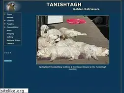 Sites similar to tanishtagh.nl
