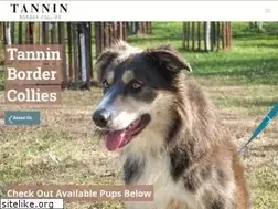 Sites similar to tanninbordercollies.com