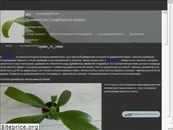 Sites similar to tanynadacha.ru