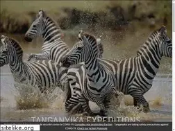 Sites similar to tanzanie-voyages.fr