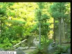 Sites similar to taotecode.com