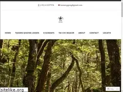 Sites similar to taozenqigong.com