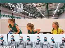 Sites similar to tapiolanhonka.fi