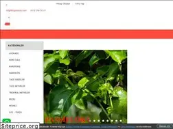 Sites similar to taptazeal.com