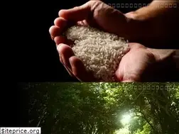 Sites similar to taragawa.co.jp