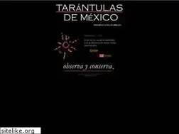 Sites similar to tarantulasdemexico.com
