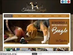 Sites similar to tarhacanabeagle.com