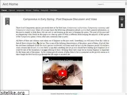Sites similar to tarheelants.blogspot.com