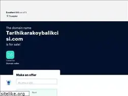 Sites similar to tarihikarakoybalikcisi.com