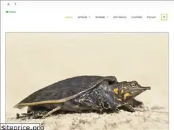 Sites similar to tartaweb.it