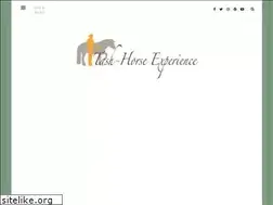 Sites similar to tash-horseexperience.click