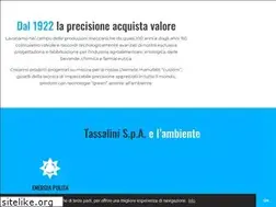 Sites similar to tassalini.com