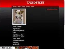 Sites similar to tassoteket.se