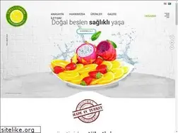 Sites similar to tatlilimon.com.tr