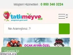 Sites similar to tatlimeyve.com