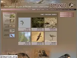 Sites similar to tatzpit.com