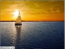 Sites similar to taussmarine.com