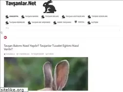 Sites similar to tavsanlar.net