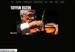 Sites similar to tayfunbozok.com