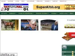 Sites similar to tayfununal.com