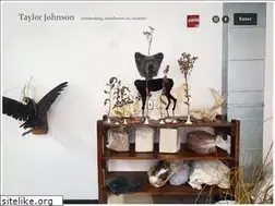 Sites similar to taylorjohnsonstudio.com