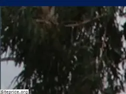 Sites similar to taylorshillps.vic.edu.au