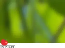 Sites similar to taza.com.sa