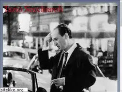 Sites similar to taziosecchiaroli.it