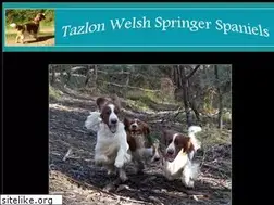 Sites similar to tazlon.com