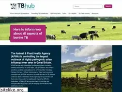 Sites similar to tbhub.co.uk