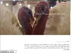 Sites similar to tbzgroup.com