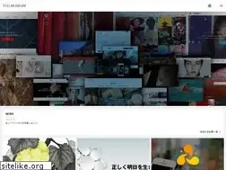 Sites similar to tcdmuseum.com