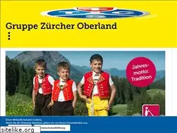 Sites similar to tcs-zo.ch