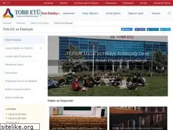 Sites similar to tde.etu.edu.tr