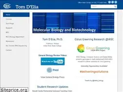 Sites similar to tdelia-irsc.weebly.com