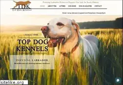 Sites similar to tdkpointinglabs.com
