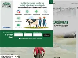 Sites similar to te-ta.com.tr