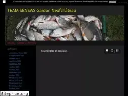 Sites similar to team-sensas-neufchateau.com